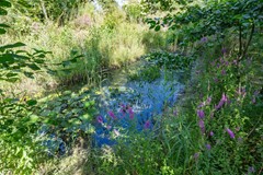 Boelewijk-119.jpg