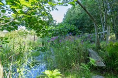 Boelewijk-120.jpg