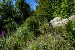 Boelewijk-124.jpg