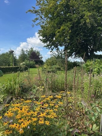 Medium property photo - Boelewijk 5, 9367 TP De Wilp