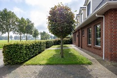 W.F.de Boerstraat-19.jpg