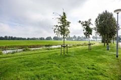 W.F.de Boerstraat-21.jpg