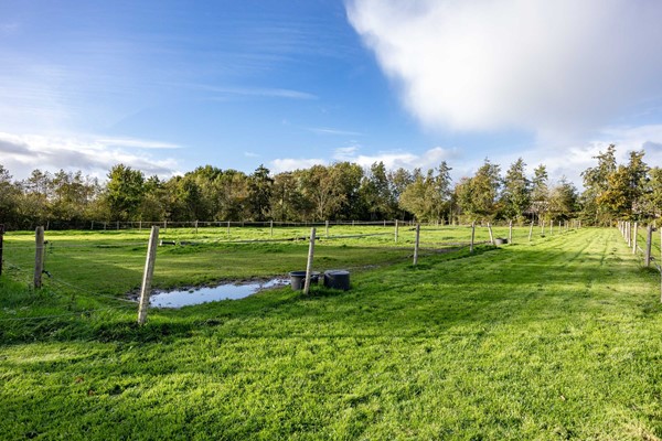 Medium property photo - Houtwal 34, 9363 XA Marum