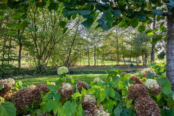 Medium property photo - Houtwal 34, 9363 XA Marum