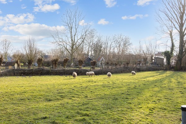 Medium property photo - Hogeweg 6, 9832 TA Den Horn