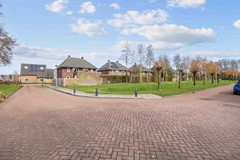 KleineHoorn_-3.jpg