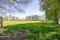 Tonckensweg-66.jpg