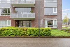 Wester_-4.jpg