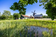 Molen_-81.jpg
