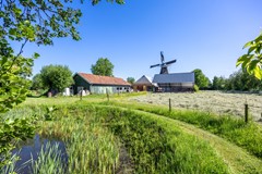 Molen_-82.jpg