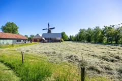 Molen_-83.jpg