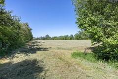 Molen_-84.jpg