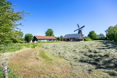 Molen_-85.jpg
