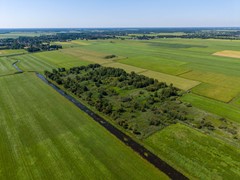 Drone-5.jpg