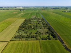 Drone-7.jpg