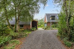 De Petten_-26.jpg