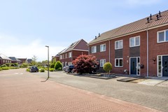 HetElferman417591wcDenekampNL-01.jpg