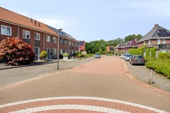 HetElferman417591wcDenekampNL-38.jpg