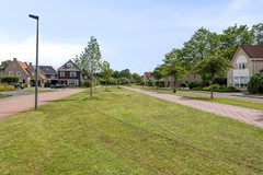 HetElferman417591wcDenekampNL-40.jpg