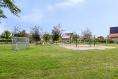 HetElferman417591wcDenekampNL-39.jpg