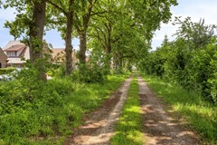 HetElferman417591wcDenekampNL-41.jpg