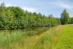 Hakselaar157591SEDenekamp-41.jpg