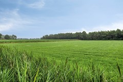 Nordhornsestraat1887591NLDenekampNL-30.jpg