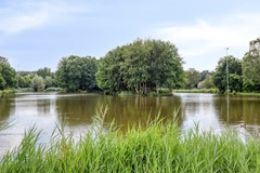 MeesterMuldersstraat577591VADenekamp-40.jpg