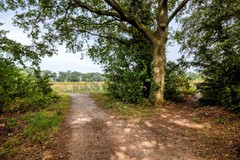 deKlauwier47591JNDenekampNL-45.jpg