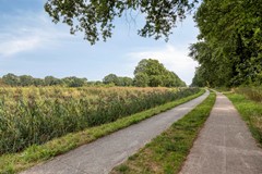 deKlauwier47591JNDenekampNL-46.jpg