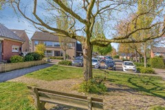 Aronskelkstraat117591CCDenekamp-01.jpg