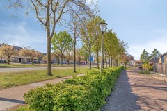 Aronskelkstraat117591CCDenekamp-03.jpg
