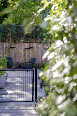 Medium property photo - Tiberiaslaan, 3061 BJ Rotterdam