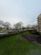 debbb414-2267-4609-aba8-b590be4b86d7.jpg