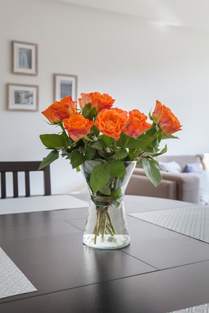 Medium property photo - Vondelweg, 3031 PS Rotterdam