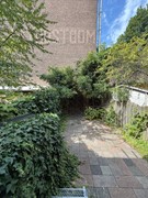 tuin.jpg