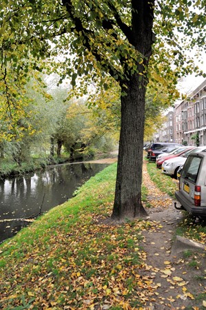 Medium property photo - Essenburgsingel, 3022 EK Rotterdam