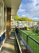 Nieuw in verhuur: Ruigenhoek, 3085 EN Rotterdam