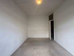 7691a65b-2cae-42b7-92e8-6251dbc8fab2.jpg