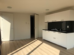 IMG_7231.jpg