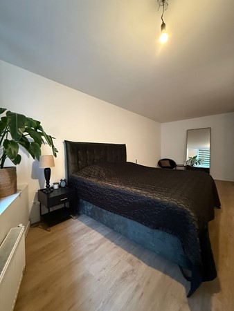 Medium property photo - Proveniersstraat, 3033 CH Rotterdam