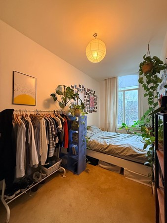 Medium property photo - Westersingel, 3014 GR Rotterdam