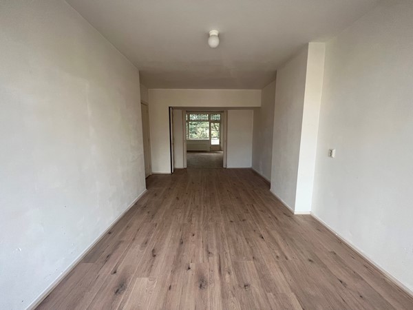 Dordtselaan, 3073 GM Rotterdam