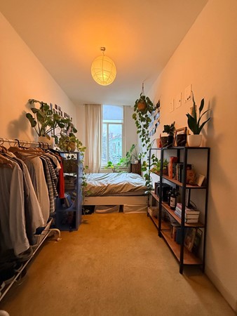 Medium property photo - Westersingel, 3014 GR Rotterdam