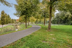 Klaverakker314341MAArnemuiden-77.jpg