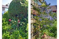 50_VEERE_4351_NK_Valeriusstraat_23.jpg