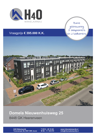 Brochure preview - Domela Nieuwenhuisweg 25, 8448 GK HEERENVEEN (1)