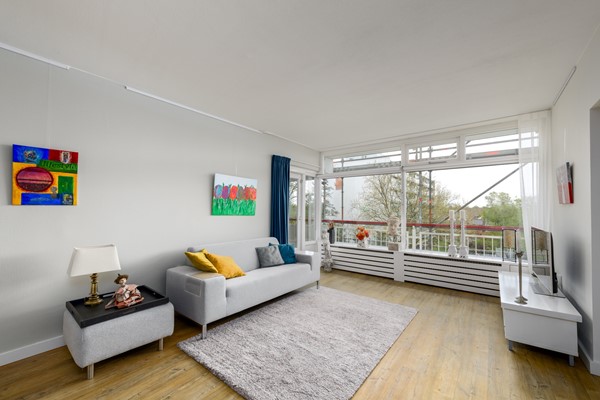 Buizerd 41 Heerenveen-3.jpg 2