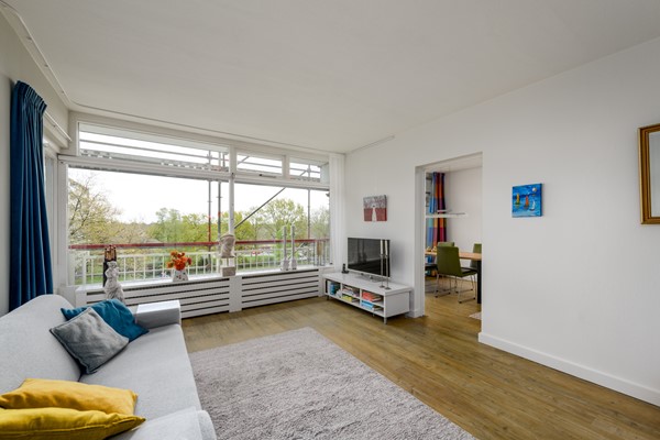 Buizerd 41 Heerenveen-4.jpg 4