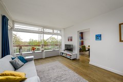 Buizerd 41 Heerenveen-4.jpg
